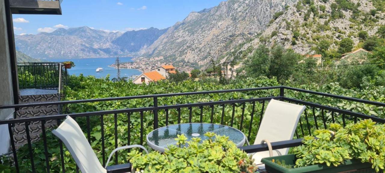 Apartment Anastasija Kotor